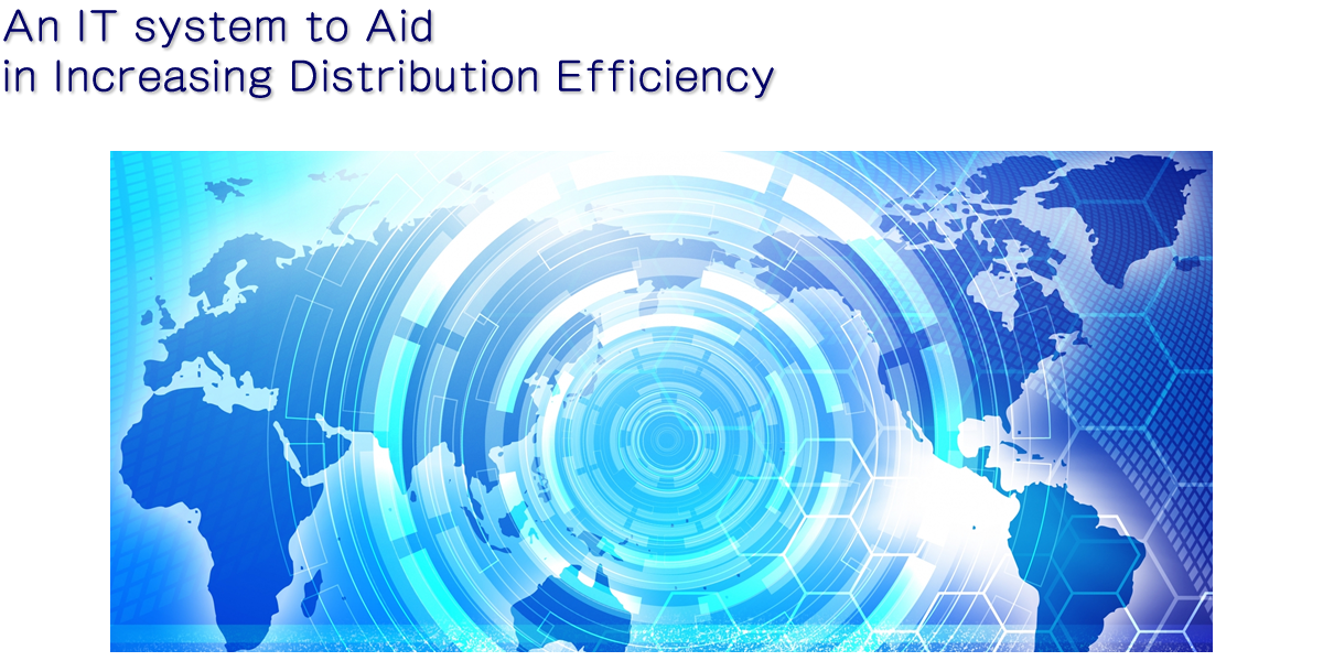 An IT system to Aid in Increasing Distribution Efficiency